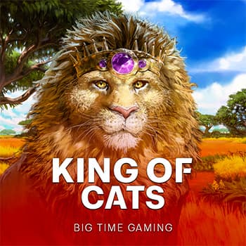 King of Cats