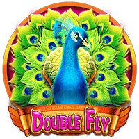 Double Fly
