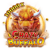 CRAZY BUFFALO