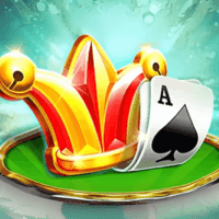 Wild Ace