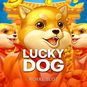 Lucky Dog