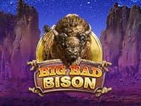 Big Bad Bison