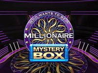 Millionaire Mystery Box