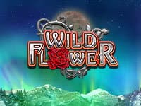 Wild Flower