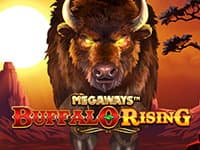 Bison Rising Megaways