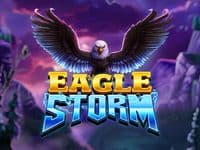 Eagle Storm