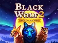 Black Wolf 2