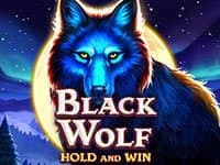 Black Wolf: Hold and Win